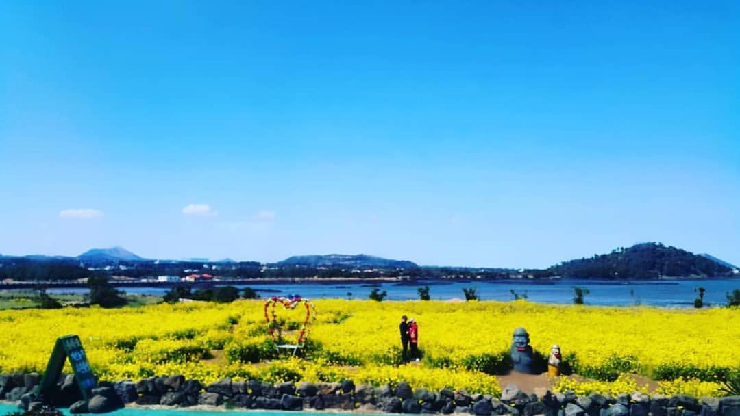 Seongsan Ilchulbong Pension Jeju Eksteriør billede